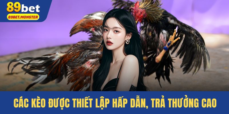 Các kèo được thiết lập hấp dẫn, trả thưởng cao