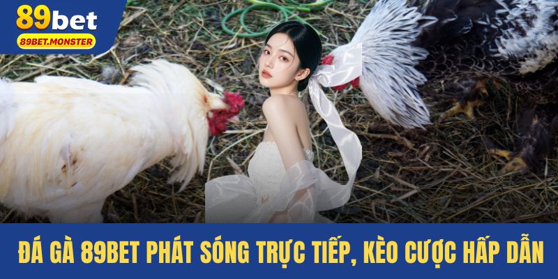Đá gà 89bet phát sóng trực tiếp, kèo cược hấp dẫn