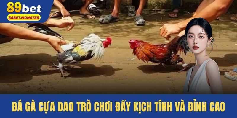 Đá Gà Cựa Dao – Trò Chơi Đấu Gà Đầy Kịch Tính Và Đỉnh Cao