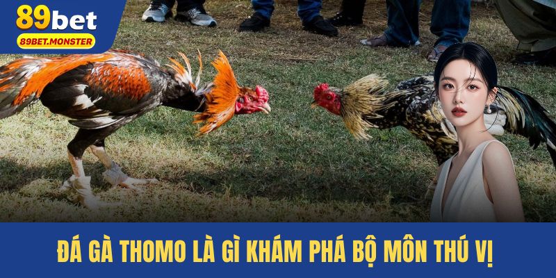 Đá Gà Thomo Là Gì – Khám Phá Bộ Môn Thú Vị Cho Cược Thủ