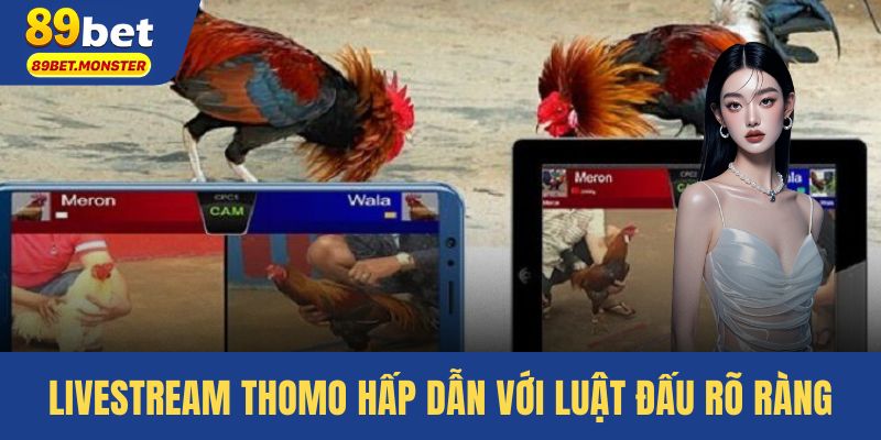 Livestream Thomo hấp dẫn với luật đấu rõ ràng, minh bạch