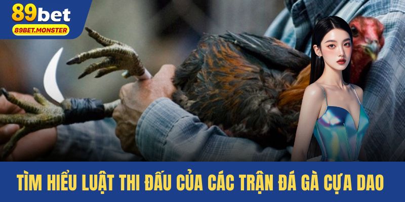 Tìm hiểu luật thi đấu của các trận đá gà cựa dao 